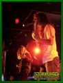 Gallery image 22