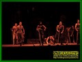 Gallery image 22