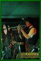 Gallery image 28
