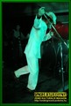 Gallery image 31