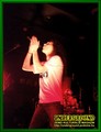 Gallery image 26