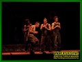 Gallery image 32