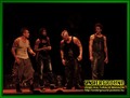 Gallery image 34