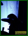 Gallery image 37
