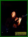 Gallery image 39