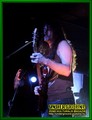 Gallery image 42