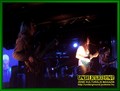 Gallery image 57