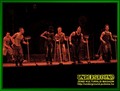 Gallery image 38