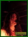 Gallery image 69