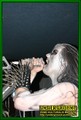 Gallery image 24