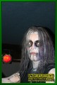 Gallery image 29