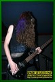 Gallery image 39