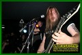 Gallery image 29