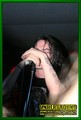 Gallery image 33