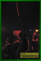 Gallery image 21