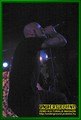 Gallery image 24