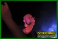 Gallery image 33