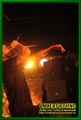 Gallery image 38