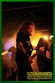 Gallery image 51
