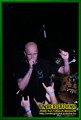 Gallery image 60