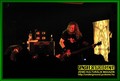 Gallery image 65
