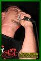 Gallery image 27