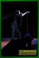 Gallery image 32