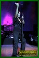 Gallery image 47