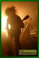 Gallery image 39