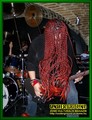 Gallery image 37