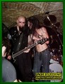 Gallery image 64