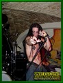Gallery image 79