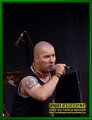 Gallery image 22