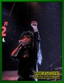 Gallery image 23