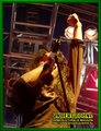Gallery image 31