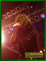 Gallery image 50