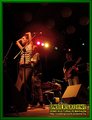 Gallery image 21