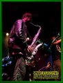 Gallery image 39