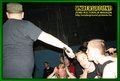 Gallery image 23
