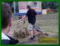 Gallery image 26