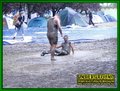 Gallery image 41