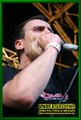 Gallery image 23