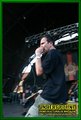 Gallery image 21