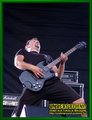 Gallery image 21