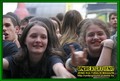 Gallery image 33