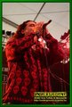 Gallery image 37