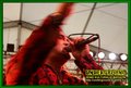 Gallery image 39