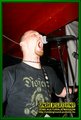 Gallery image 48