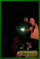 Gallery image 65