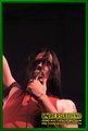Gallery image 22